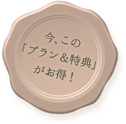 今、この「プラン・特典」がお得！